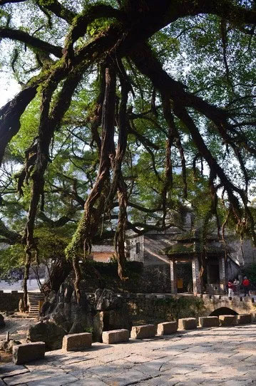 博皓游記 | 夏風(fēng)微醺的綺夢，領(lǐng)略賀州黃姚古鎮(zhèn)、姑婆山閑憩之美-12