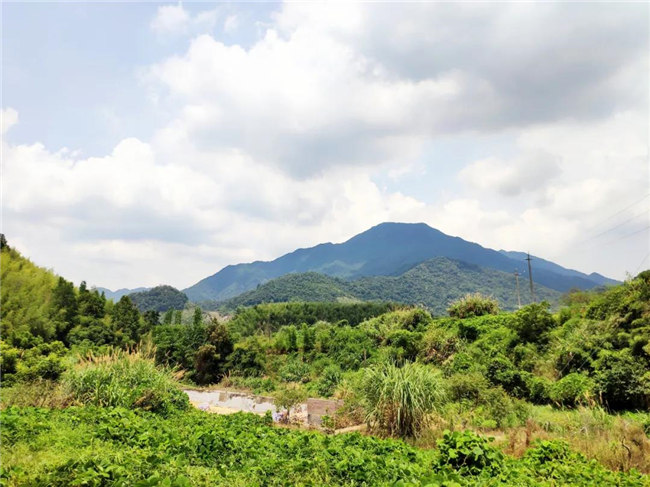 呼吸鮮氧，踐行公益&mdash;&mdash;廣東博皓公益活動：星溪線公益環(huán)保活動   -6