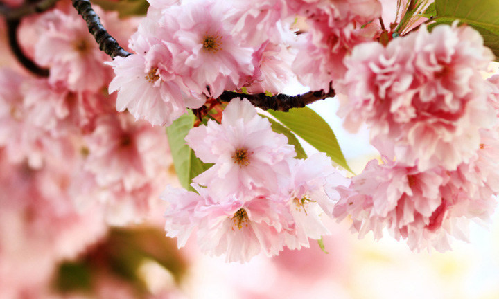 春暖花開時節，2021年博皓&ldquo;鷹之家&rdquo;學習組織班委換屆盛典