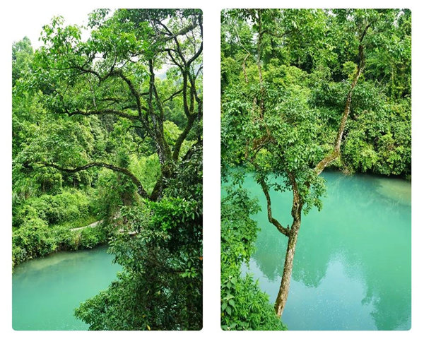 多彩貴州，魅力天下，2021年廣東博皓快樂(lè)貴州行-29