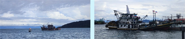 廿載風云一路行，馬來風情共見證&mdash;&mdash;2024廣東博皓馬來西亞之旅   -7