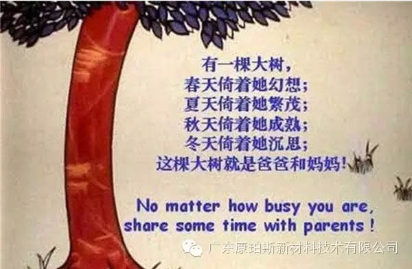 樹就是我們的父母！請愛護(hù)你們身邊的這棵樹！